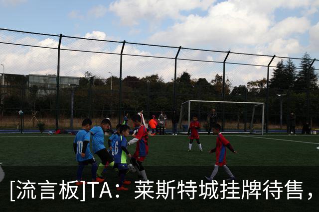 [流言板]TA：莱斯特城挂牌待售，资产要价3亿美元&预计2亿美元成交-国际足球-国际足球资讯-虎扑社区